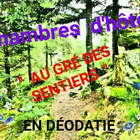Au Gre Des Sentiers Chez Marie Et Pierre Bed & Breakfast Saint-Die-des-Vosges ภายนอก รูปภาพ