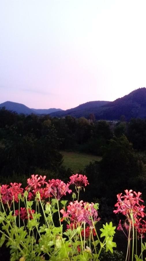 Au Gre Des Sentiers Chez Marie Et Pierre Bed & Breakfast Saint-Die-des-Vosges ภายนอก รูปภาพ