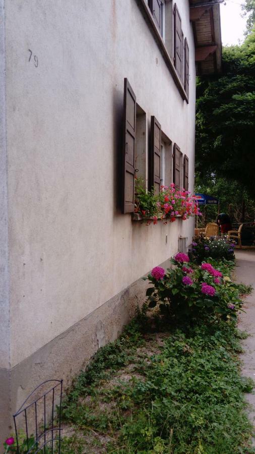 Au Gre Des Sentiers Chez Marie Et Pierre Bed & Breakfast Saint-Die-des-Vosges ภายนอก รูปภาพ
