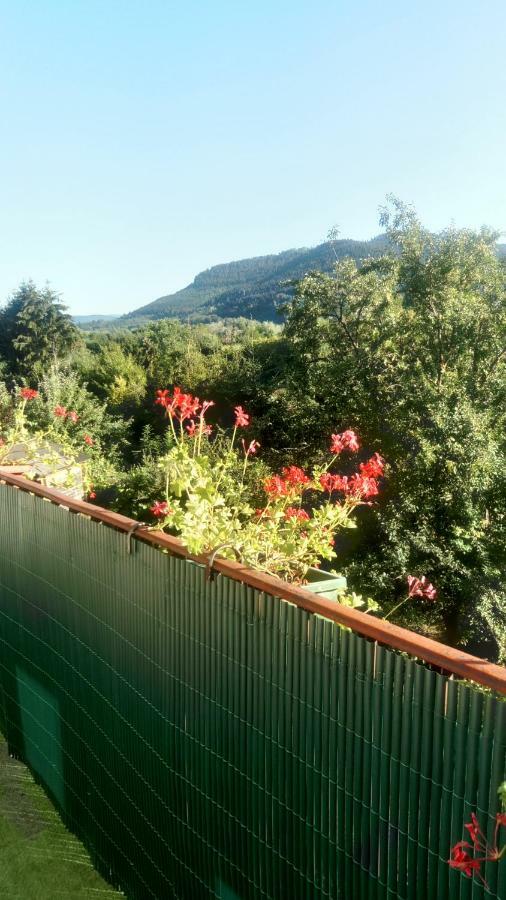 Au Gre Des Sentiers Chez Marie Et Pierre Bed & Breakfast Saint-Die-des-Vosges ภายนอก รูปภาพ