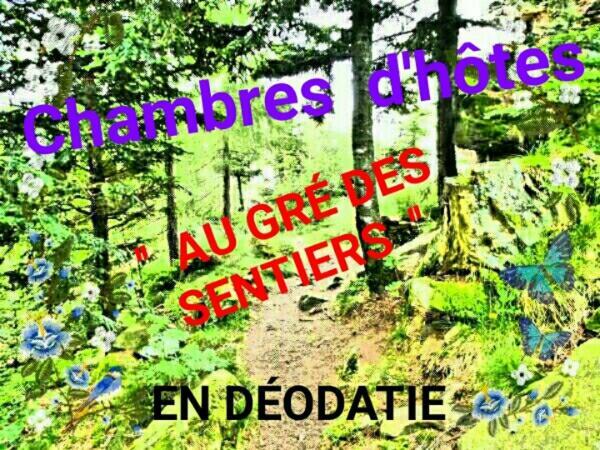 Au Gre Des Sentiers Chez Marie Et Pierre Bed & Breakfast Saint-Die-des-Vosges ภายนอก รูปภาพ