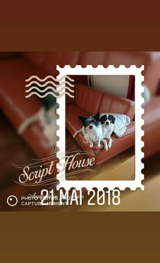 Au Gre Des Sentiers Chez Marie Et Pierre Bed & Breakfast Saint-Die-des-Vosges ภายนอก รูปภาพ